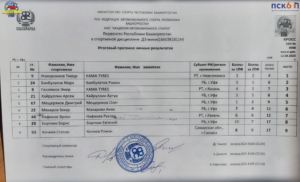 Д3мини